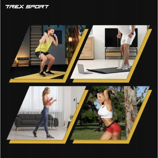 Набір резинок для фітнесу Trex Sport TX-004PB 4в1 2-41кг
