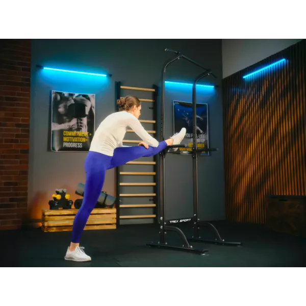 Силовая станция турник-брусья Trex Sport TX-060PR