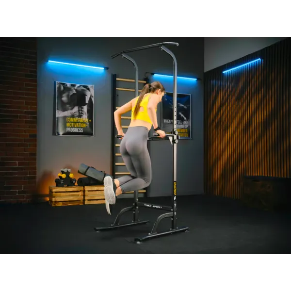 Силовая станция турник-брусья Trex Sport TX-060PR