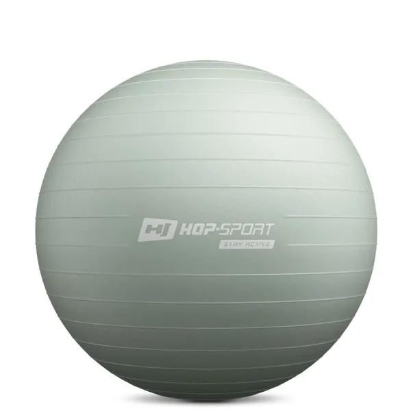 Фітбол Hop-Sport 65см шавлієвий + насос
