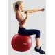 Фітбол York Fitness 55см червоний + насос