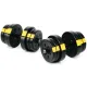 Гантелі розбірні Besport PowerPro 2х21кг