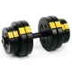 Гантелі розбірні Besport PowerPro 2х16кг