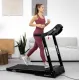 Бігова доріжка Hop-Sport HS-1000LB Wind сірий