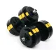 Гантелі розбірні Besport PowerPro 2х13,5кг