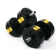 Гантелі розбірні Besport PowerPro 2х11кг