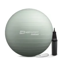 Фитбол Hop-Sport 65см шалфейный + насос