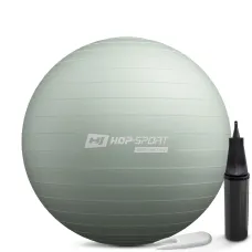 Фітбол Hop-Sport 65см шавлієвий + насос