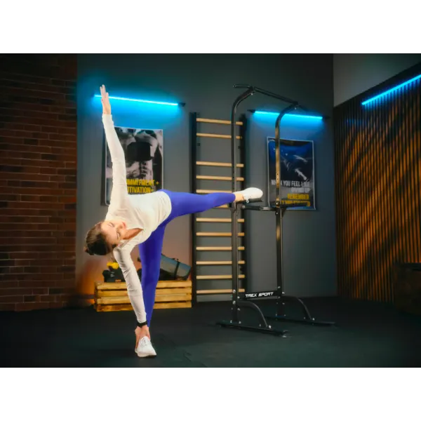 Силовая станция турник-брусья Trex Sport TX-060PR