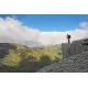 Підзорна труба Kowa 20-40x50 TSN-502 (11429)