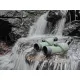 Підзорна труба Kowa 20-40x50 TSN-502 (11429)