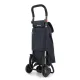 Сумка-візок Rolser I-Bag MF 4.2 Tour Plus Marengo (IBG002-1031)