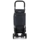 Сумка-візок Rolser I-Bag MF 4.2 Tour Plus Marengo (IBG002-1031)