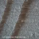 Мікроскоп National Geographic Stereo 20x (9119000)