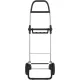 Сумка-візок Rolser Big Polar 2L Negro (BIG004-1023)