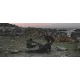 Намет чотиримісний Easy Camp Setesdal 4 (120478)