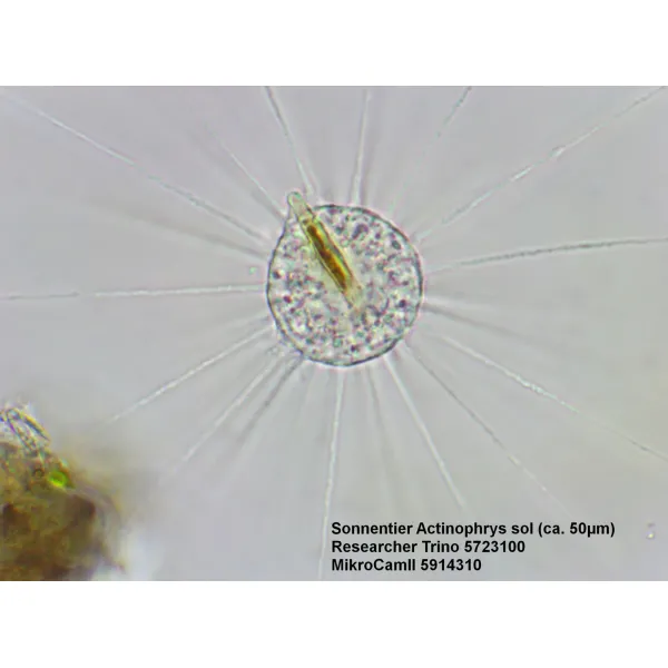 Мікроскоп Bresser Trino Researcher 40x-1000x (5723100)