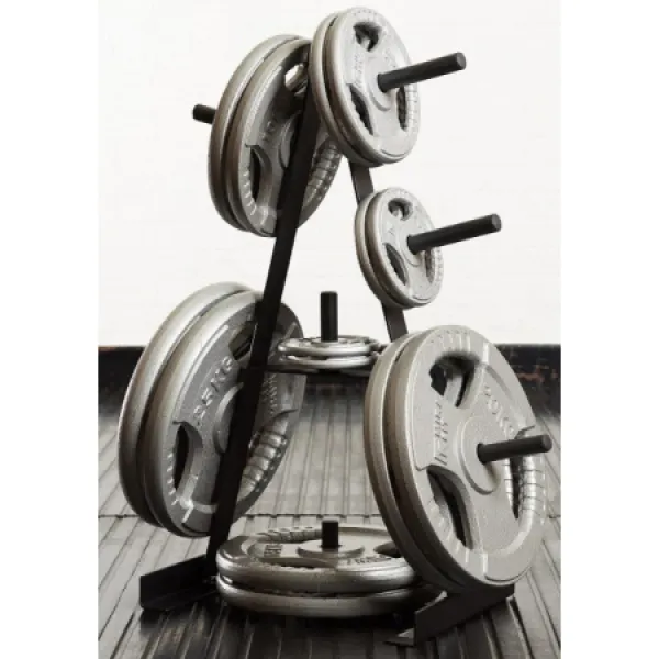 Стійка для дисків Toorx Rack 25 mm (RPD-25)