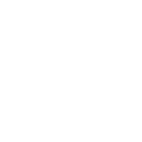 Намет Ferrino Solo FR Orange (99057LAAFR)
