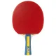 Набор для настольного тенниса Joola Team Master Pro 2 Bats 3 Balls (52001-1)