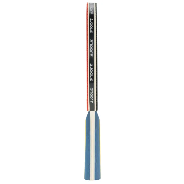 Набор для настольного тенниса Joola Team Master Pro 2 Bats 3 Balls (52001-1)