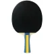 Набор для настольного тенниса Joola Team Master Pro 2 Bats 3 Balls (52001-1)